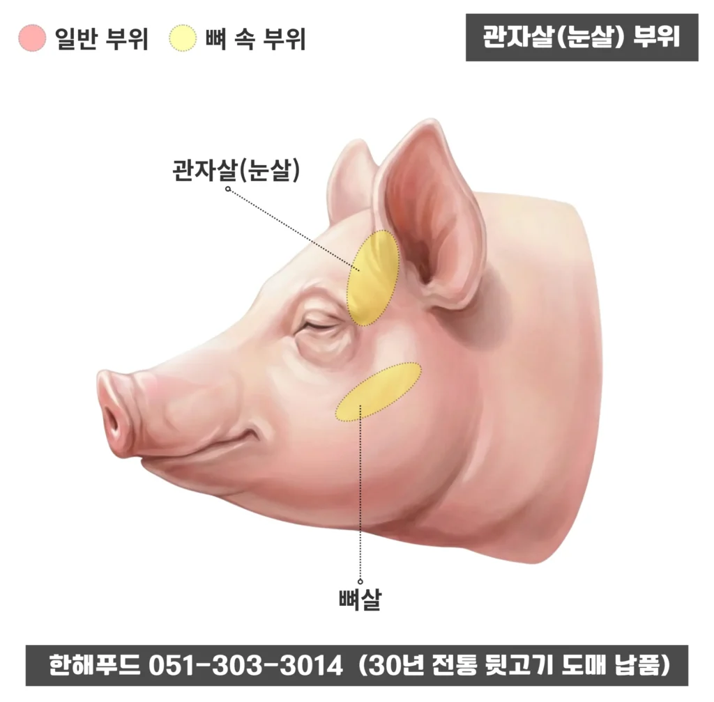 관자살(눈살) 돼지머리 특수부위 위치 안내