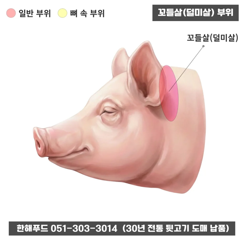 꼬들살(덜미살) 돼지머리 특수부위 위치 안내