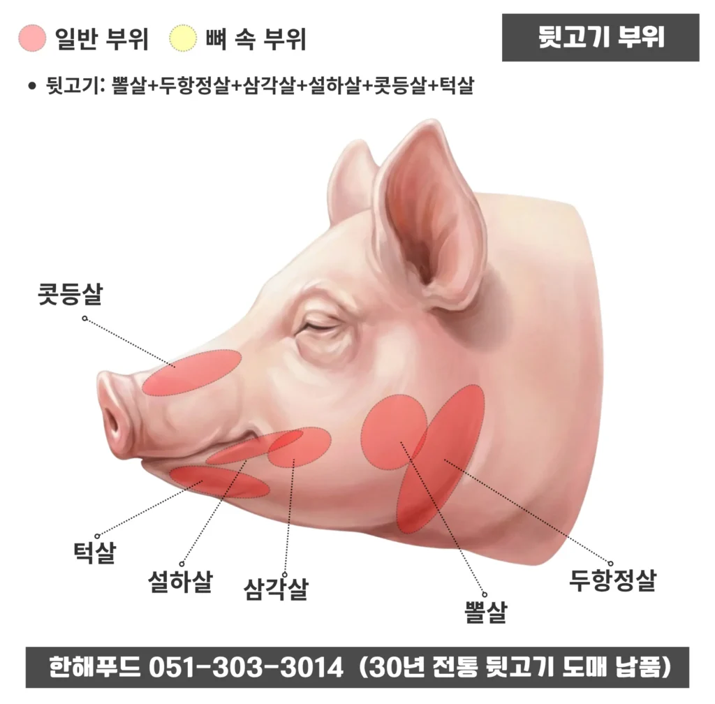 뒷고기 돼지머리 특수부위 구성 및 위치 안내