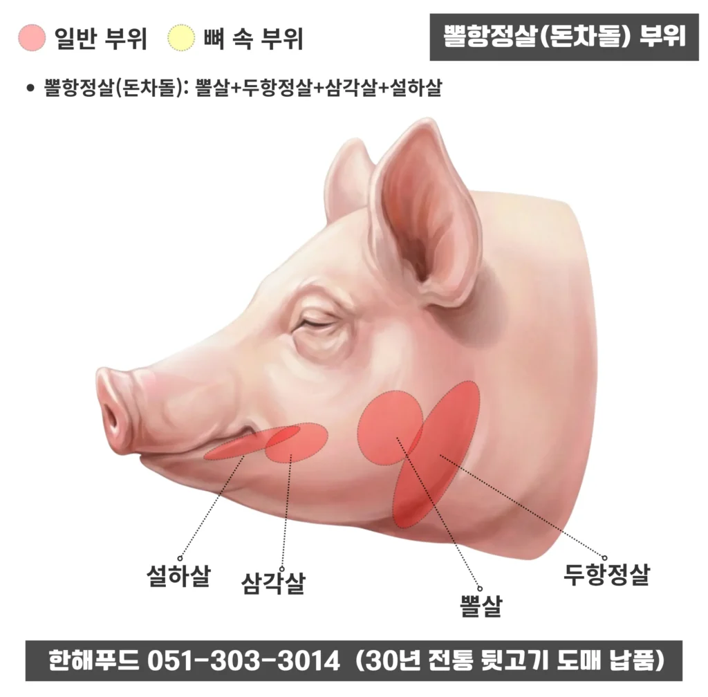 뽈항정살(돈차돌) 돼지머리 특수부위 구성 및 위치 안내